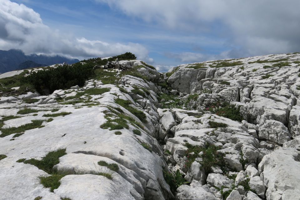 Kriški podi, 25.08.2014 - foto povečava