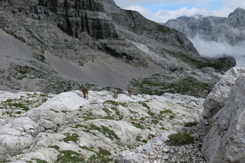 Kriški podi, 25.08.2014 - foto povečava