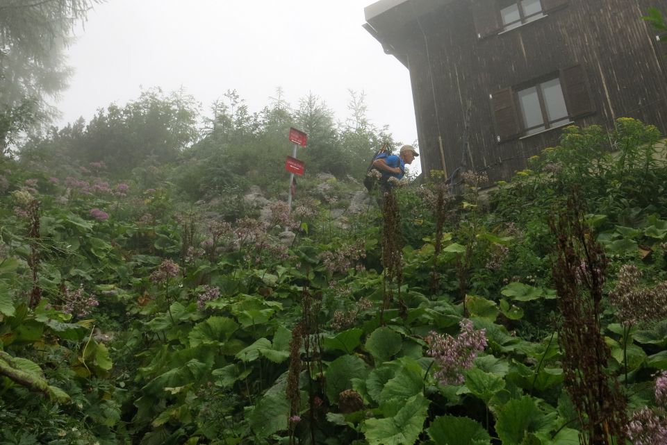 Ledinski vrh, 28.08.2014 - foto povečava