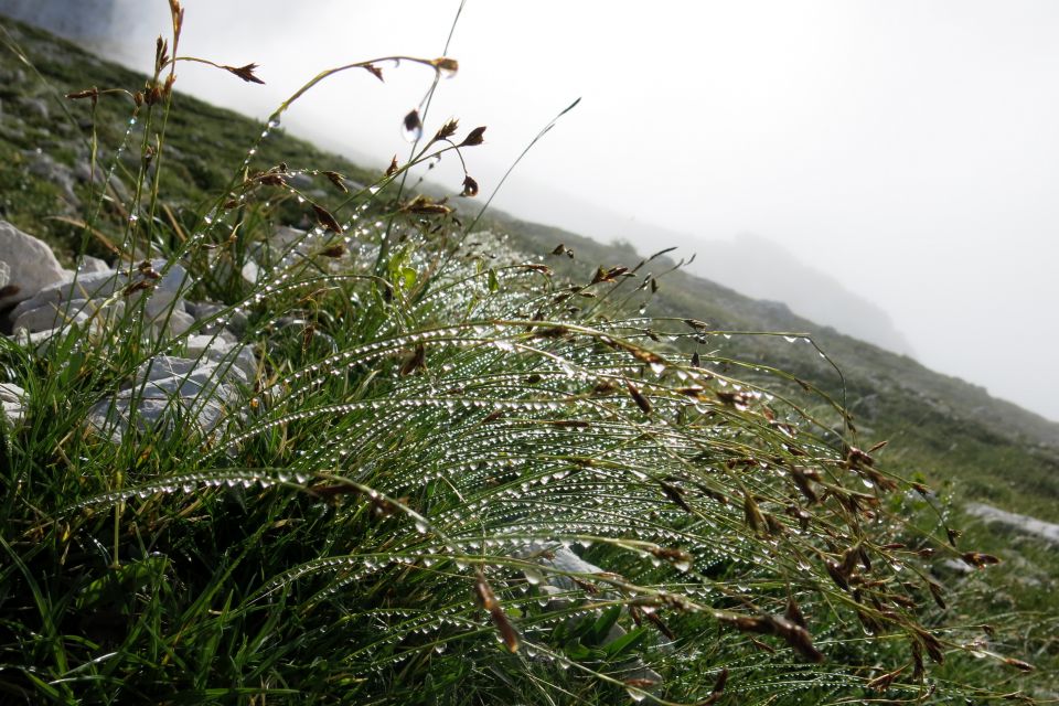 Ledinski vrh, 28.08.2014 - foto povečava