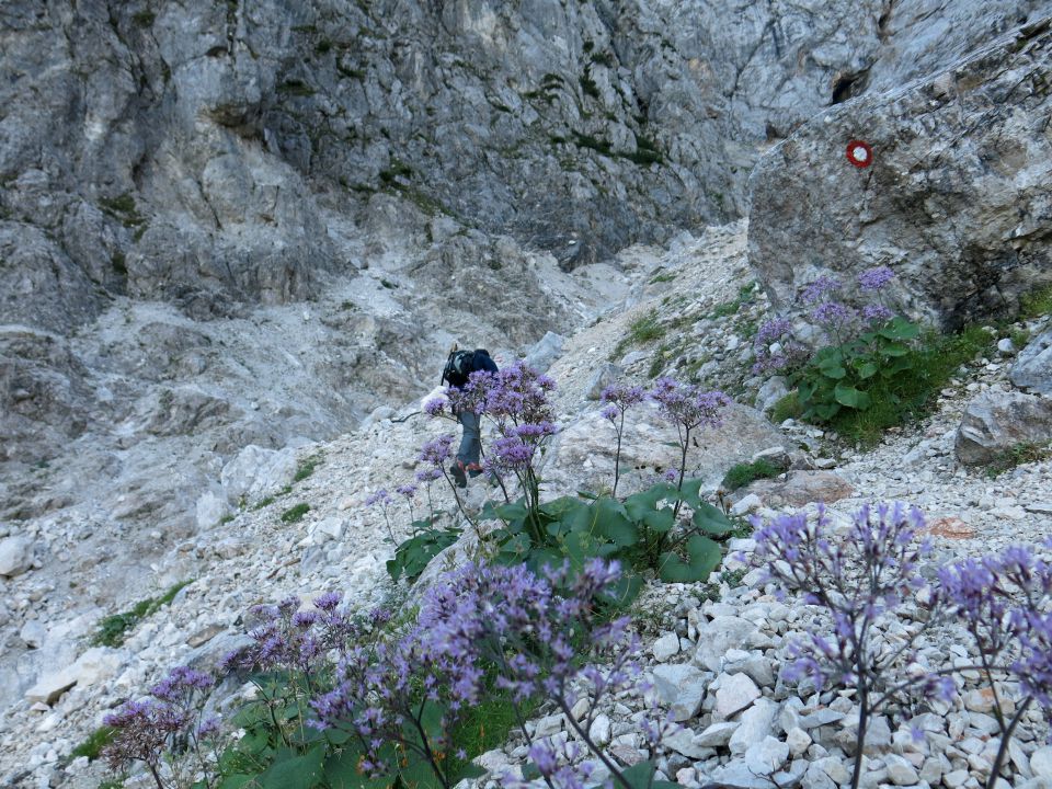 Ledine + Storžek, 19.09.2014 - foto povečava