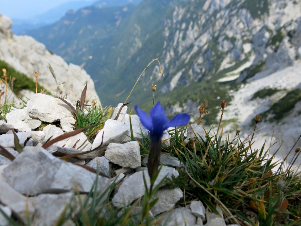 Ledine + Storžek, 19.09.2014 - foto povečava