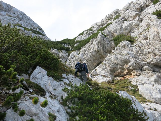 Ledine + Storžek, 19.09.2014 - foto