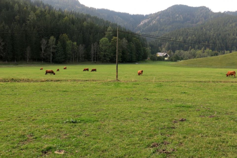 Ledine + Storžek, 19.09.2014 - foto povečava