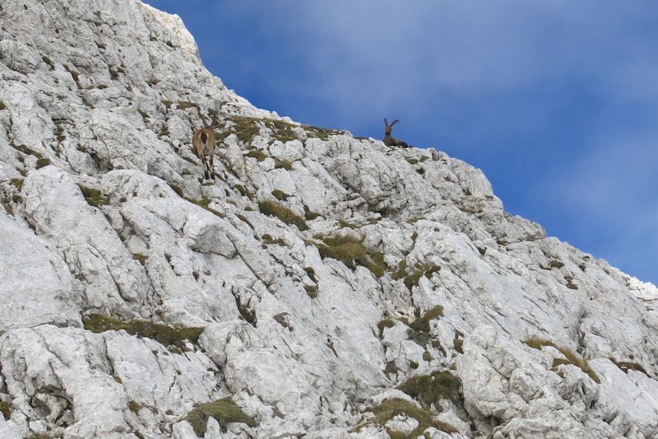 Bovški Gamsovec čez Luknjo,  24.09.2014 - foto povečava