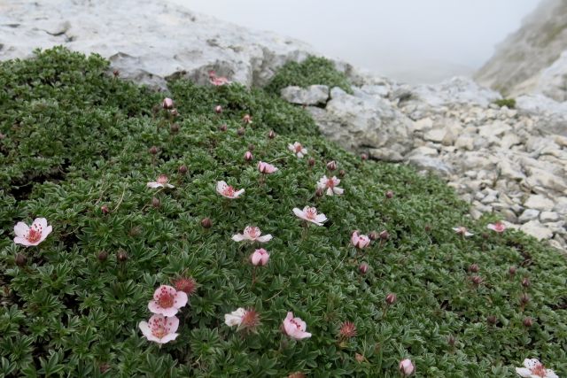 Bovški Gamsovec čez Luknjo,  24.09.2014 - foto