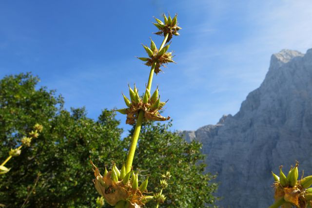 Bovški Gamsovec čez Luknjo,  24.09.2014 - foto