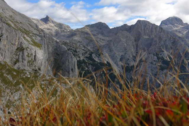 Stenar, b. gamsovec in pihavec nad kriškimi podi