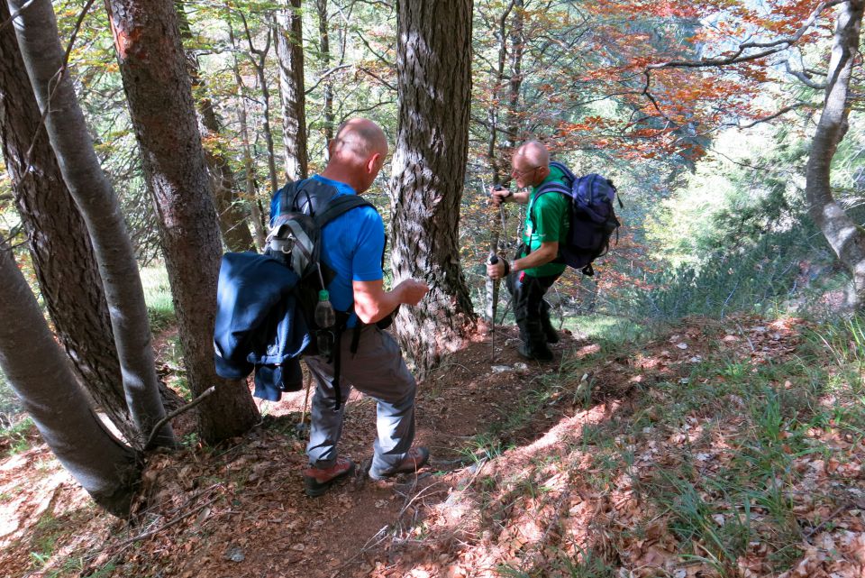 Goličica, 27.09.2014 - foto povečava