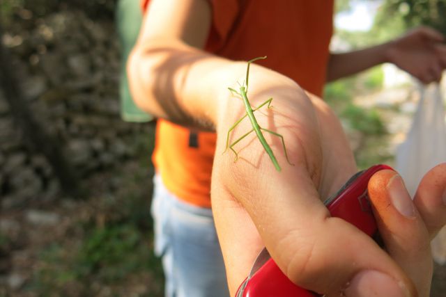 SILBA  29.09. - 05.10.2014 - foto