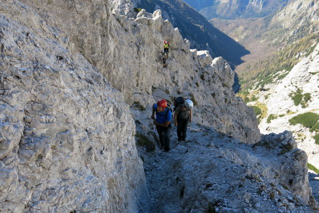 ZELENIŠKE špice, 19.10.2014 - foto