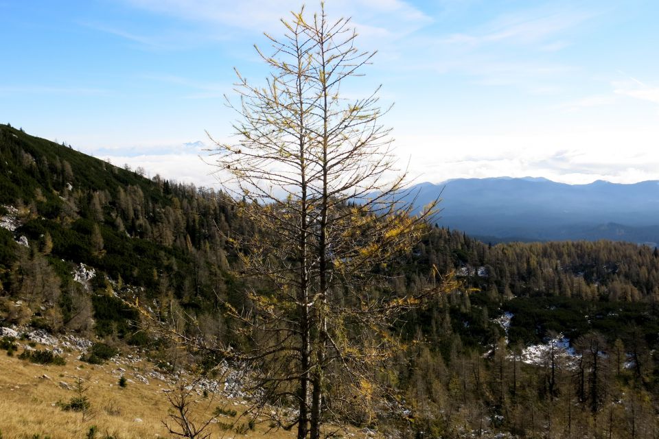 Blejska ... 26.10.2014 - foto povečava