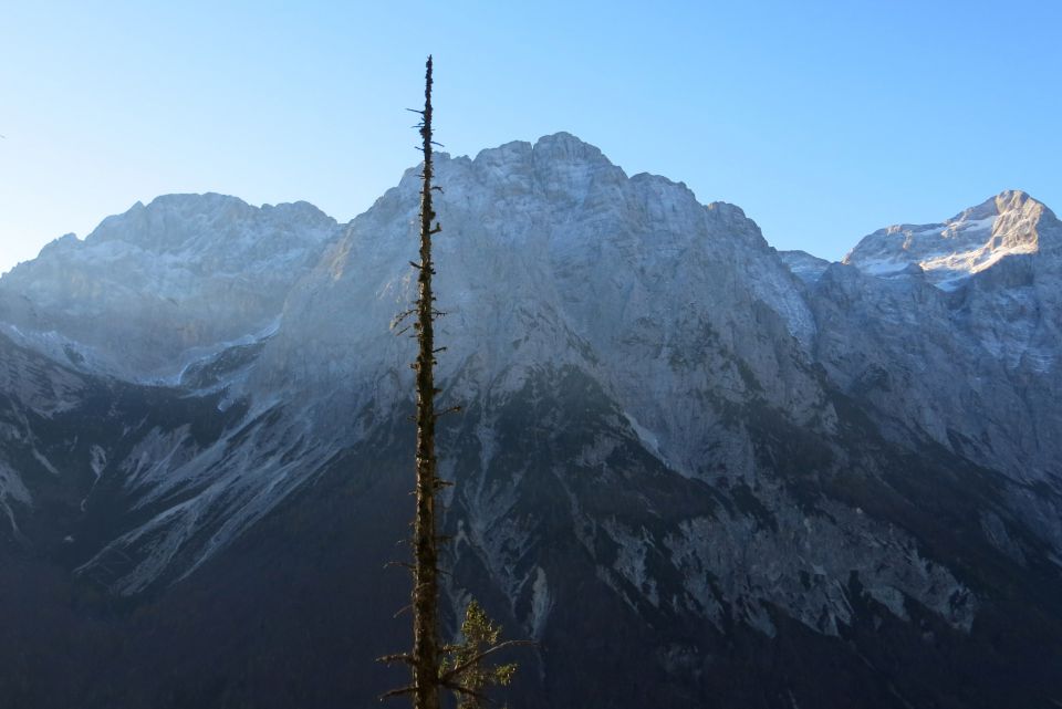 Šplevta 29.10.2014 - foto povečava