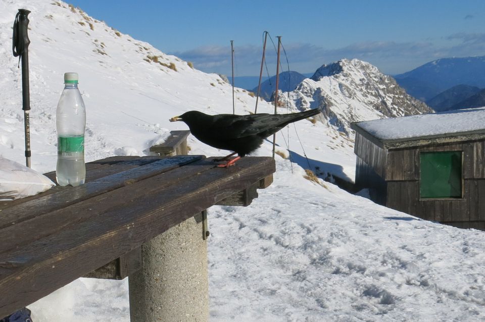 STOL / Valvazor  21.12.2014 - foto povečava