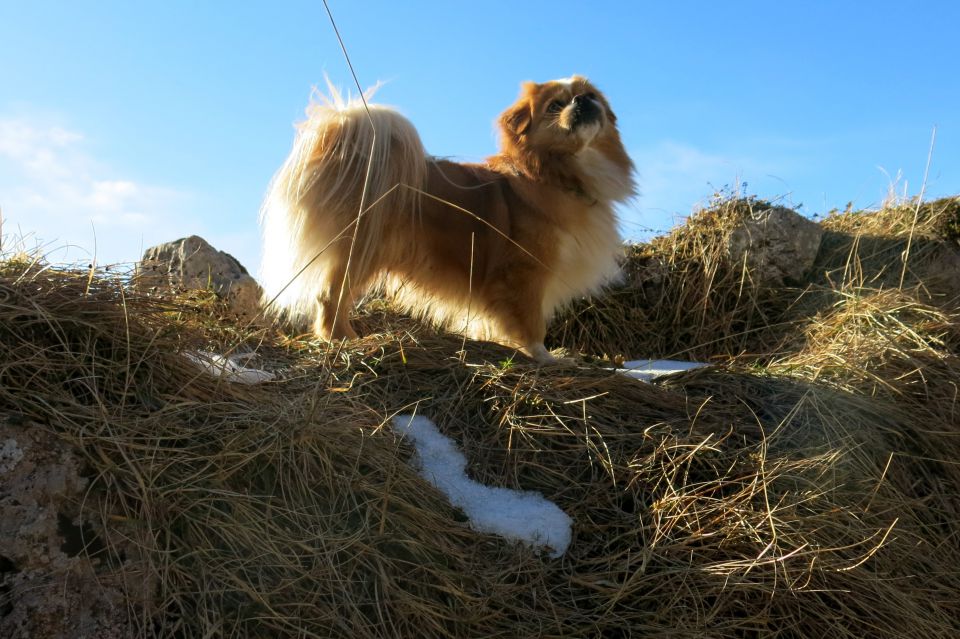 STOL / Valvazor  21.12.2014 - foto povečava