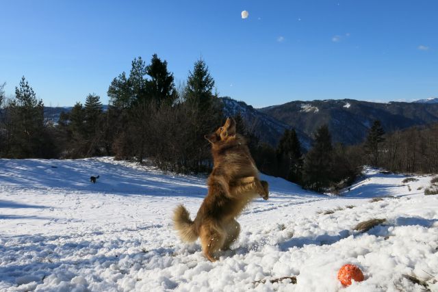 še tole ...