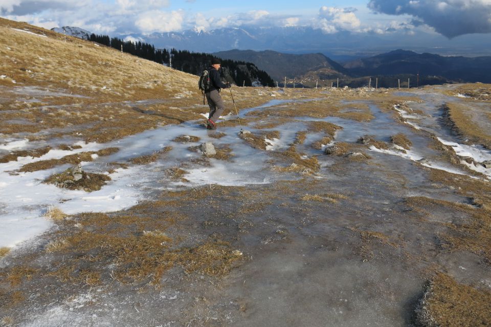 Ratitovec  18.01.2015 - foto povečava