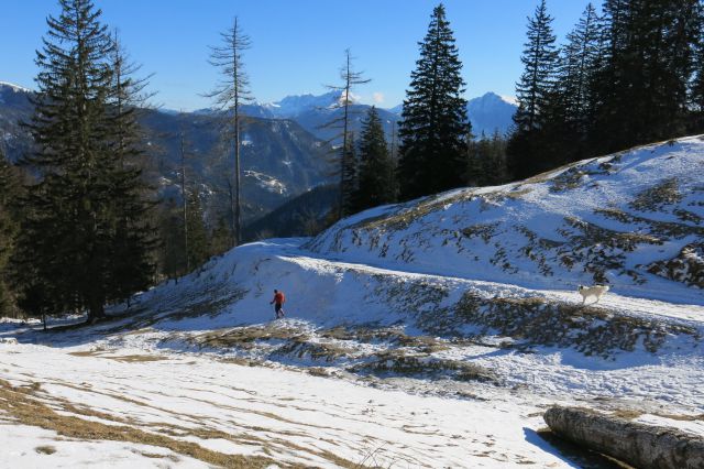 Bornovi tuneli, 28.01.2015 - foto