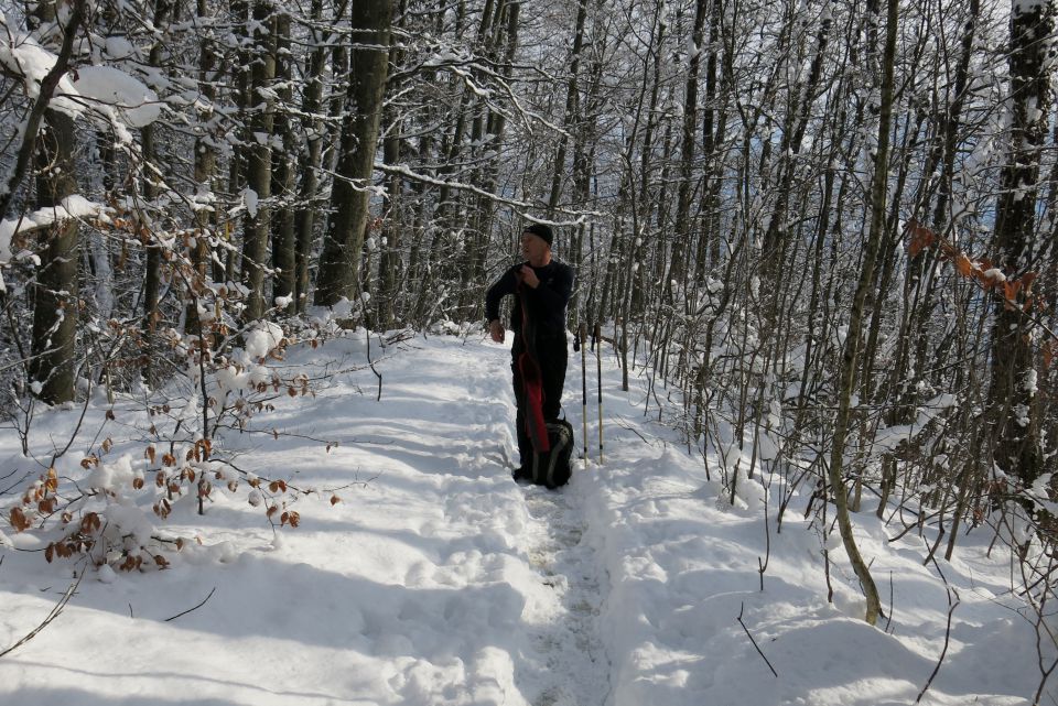 Lubnik s Kobile  02.02.2015 - foto povečava