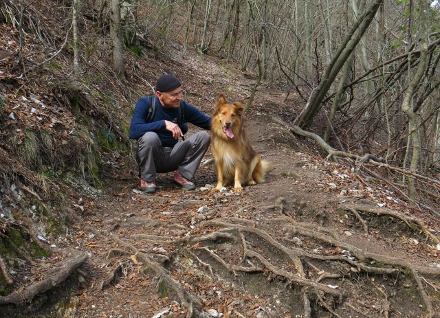 DINGO na Lovrencu, 04.03.2015 - foto