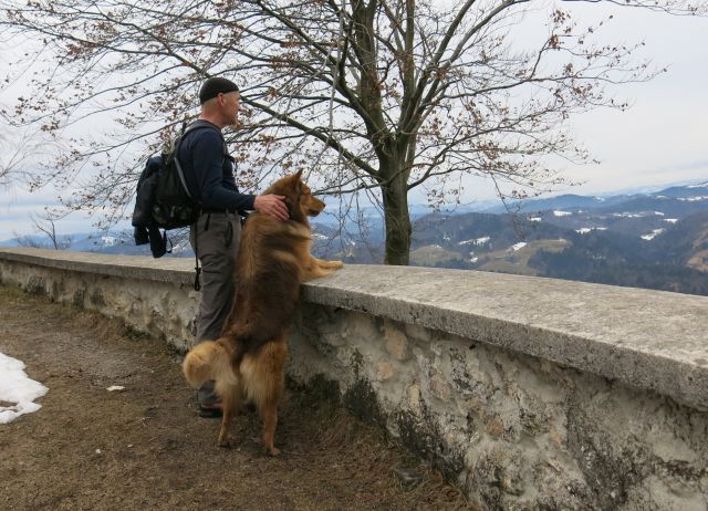 DINGO na Lovrencu, 04.03.2015 - foto