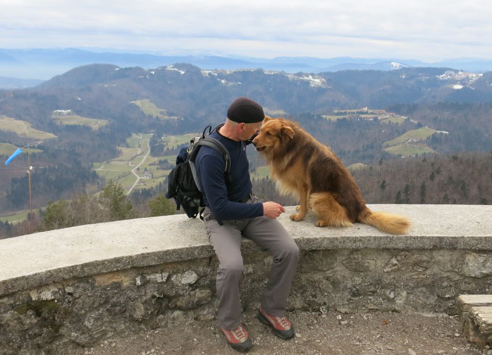 DINGO na Lovrencu, 04.03.2015 - foto povečava