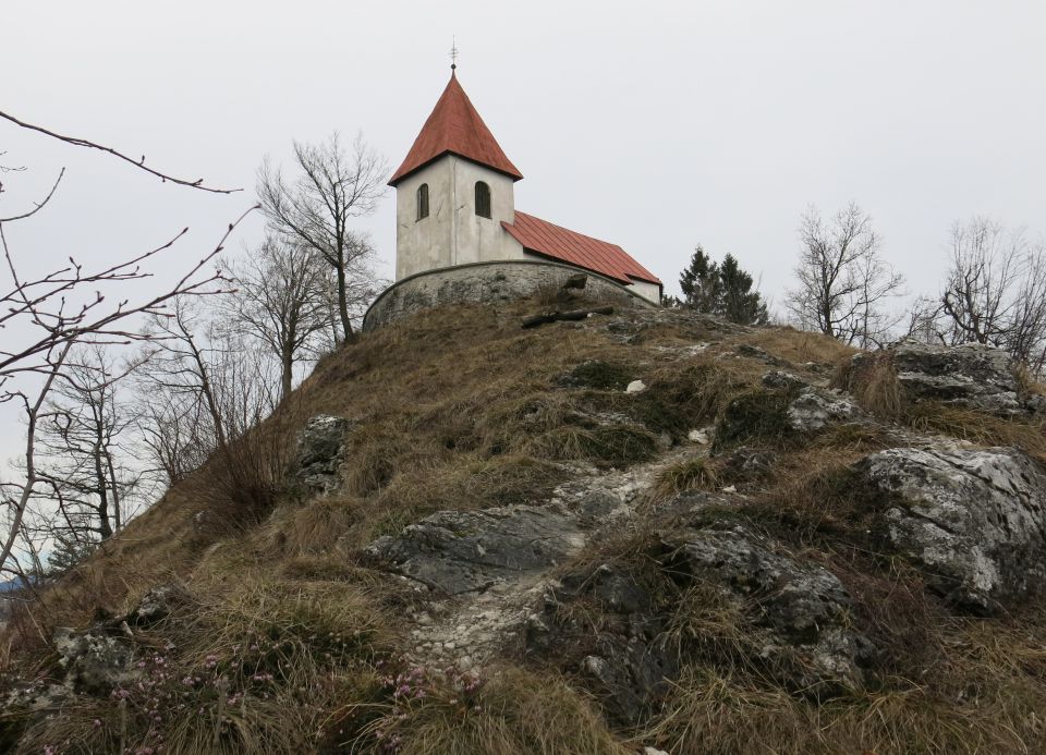 DINGO na Lovrencu, 04.03.2015 - foto povečava