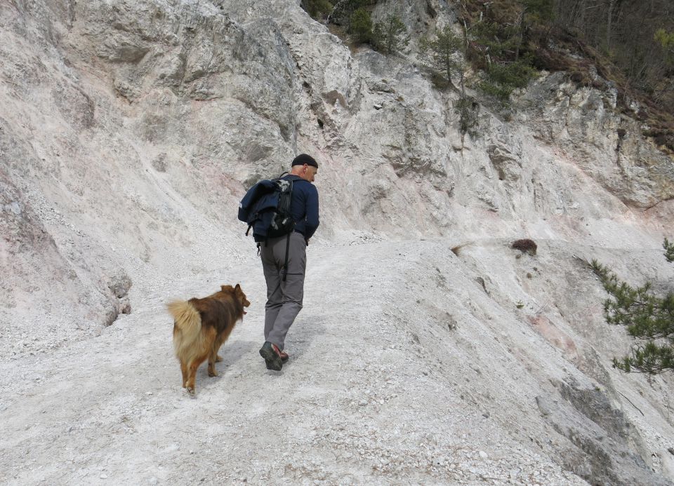 DINGO na Lovrencu, 04.03.2015 - foto povečava