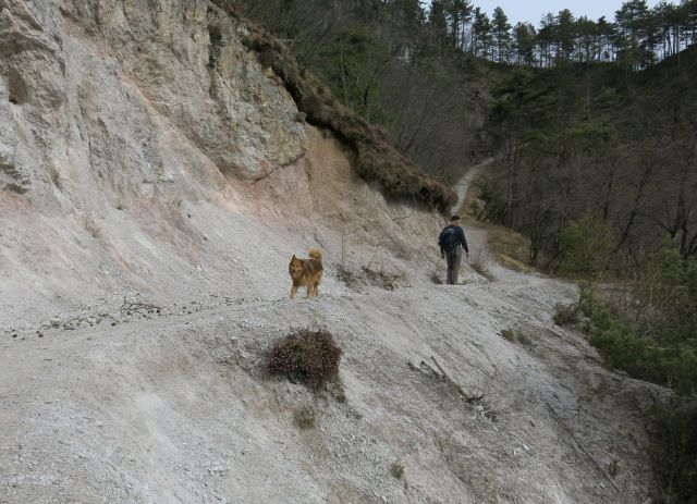 DINGO na Lovrencu, 04.03.2015 - foto