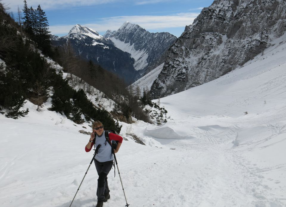  Suho rušje,  29.03.2015 - foto povečava