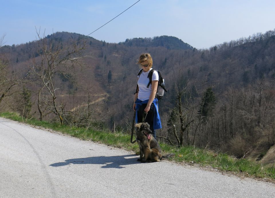 Dingo + silva mimo slapov  - foto povečava