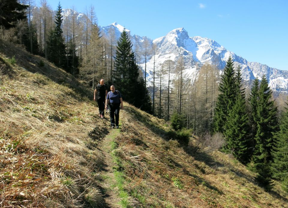 GOLI VRH - 26.04.2015 - foto povečava