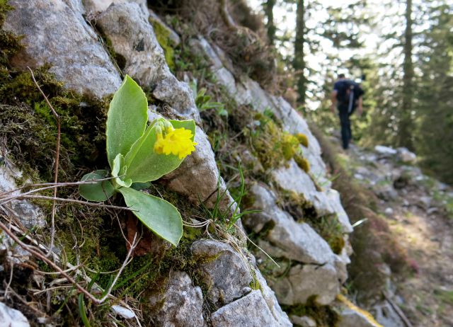 Debela peč - 06.05.2015 - foto