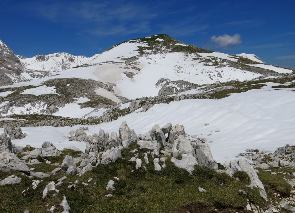 TOSC - 28.05.2015 - foto povečava