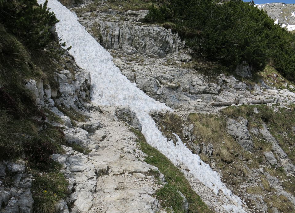 TOSC - 28.05.2015 - foto povečava