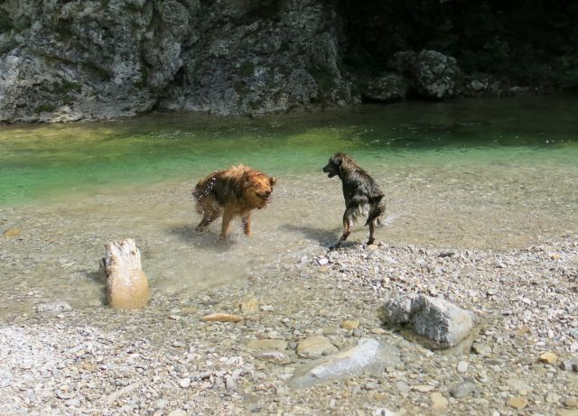 DINGO + Silva v Iškem Vintgarju, 29.05.2015 - foto