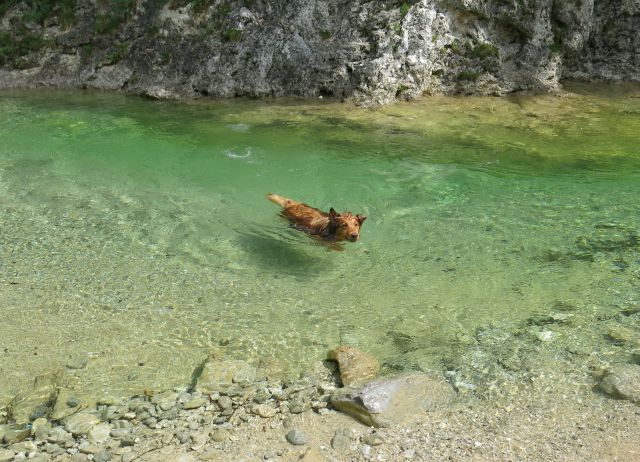 DINGO + Silva v Iškem Vintgarju, 29.05.2015 - foto