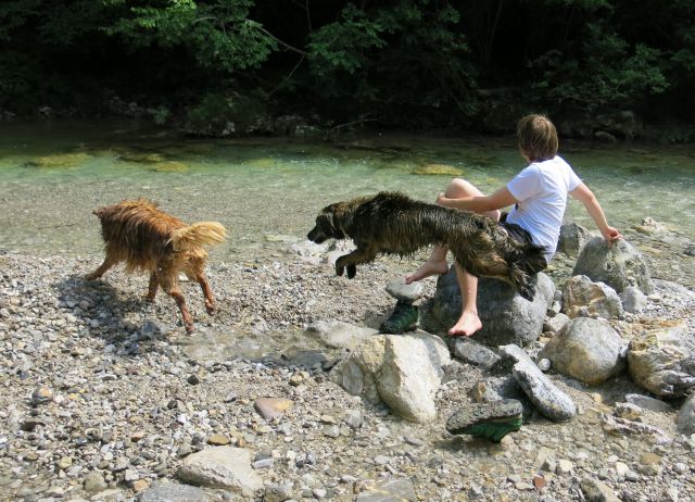 DINGO + Silva v Iškem Vintgarju, 29.05.2015 - foto