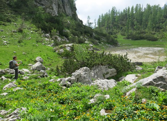 Okrog Tosca v Mišeljsko d., 05.06.2015 - foto