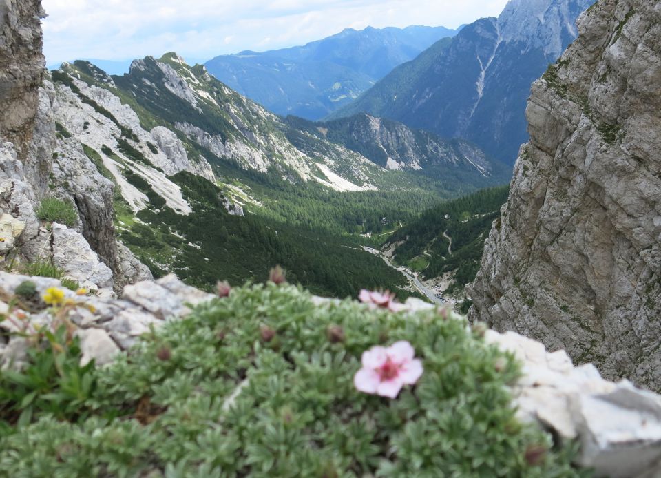 M.M. po Hanzovi, 28.06.2015 - foto povečava