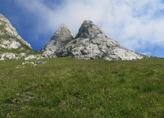 Skala + male špice, 01.07.2015 - foto