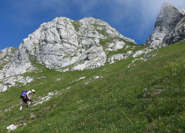 Skala + male špice, 01.07.2015 - foto