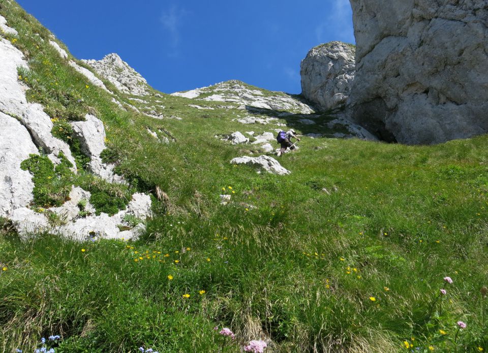 Skala + male špice, 01.07.2015 - foto povečava