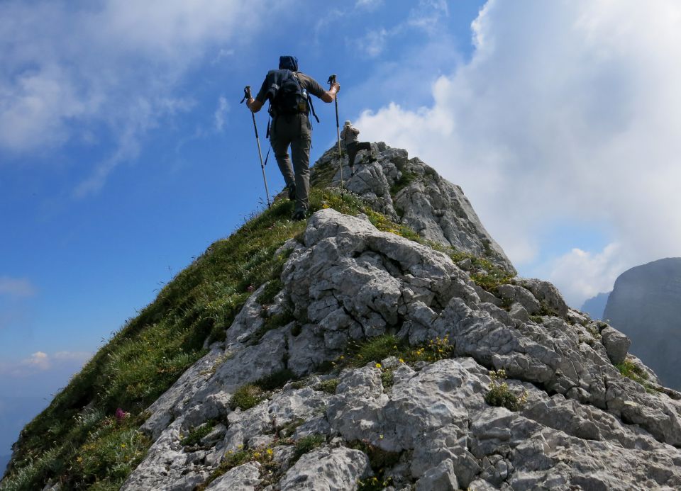 Skala + male špice, 01.07.2015 - foto povečava