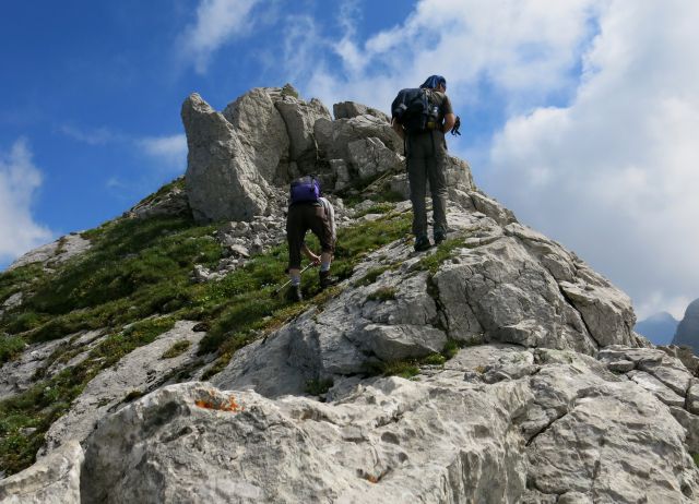 Skala + male špice, 01.07.2015 - foto