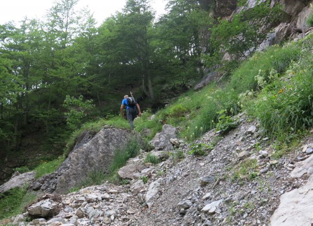 Tamar - Slem. špica - Grlo,  07.07.2015 - foto