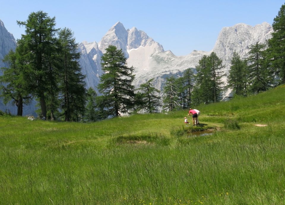 Tamar - Slem. špica - Grlo,  07.07.2015 - foto povečava