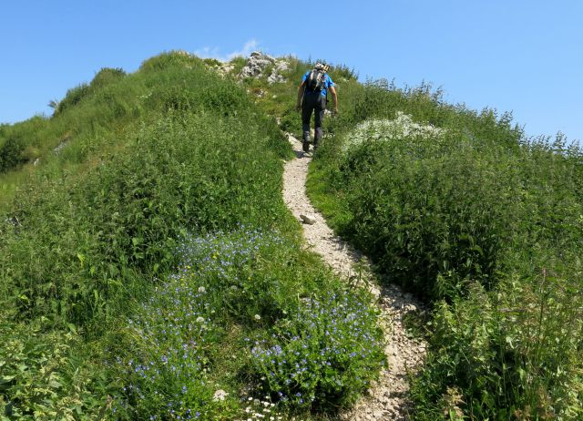 Tamar - Slem. špica - Grlo,  07.07.2015 - foto