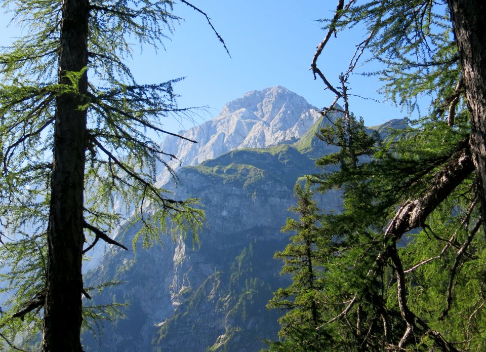 Poldnik - 11.07.2015 - foto povečava