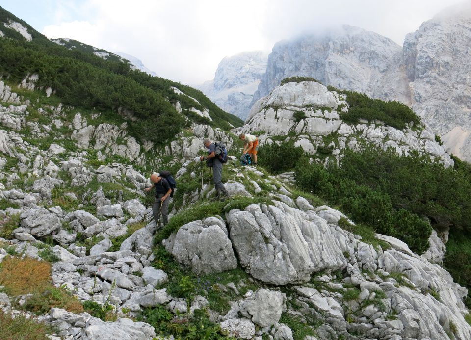 Lepošpič., m.Tič.,Rušnata g.,Blato 5.08.15 - foto povečava